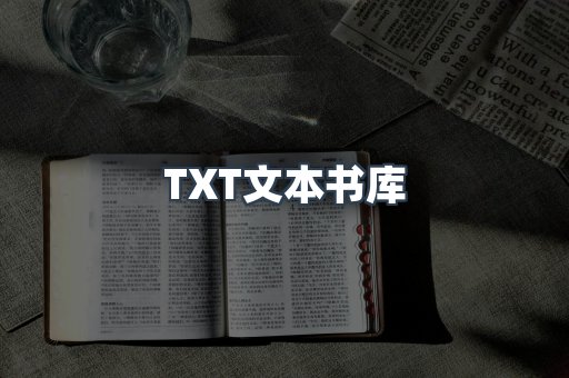 TXT文本书库